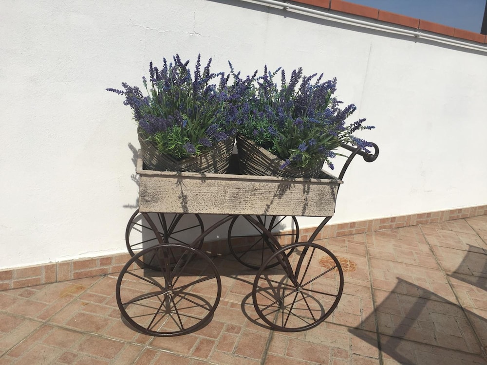 B&B La Terrazza 6/29