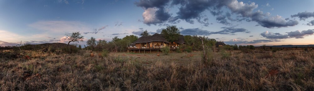 Madikwe Hills 40/50
