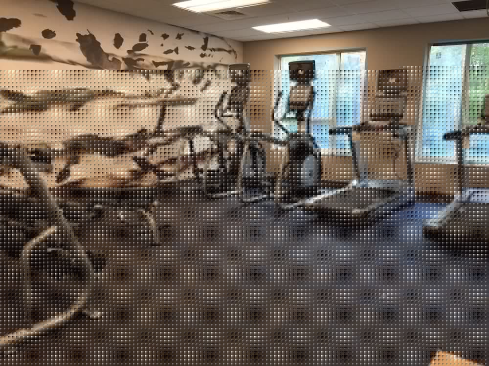 Residence Inn By Marriott Boston Bridgewater 26/42