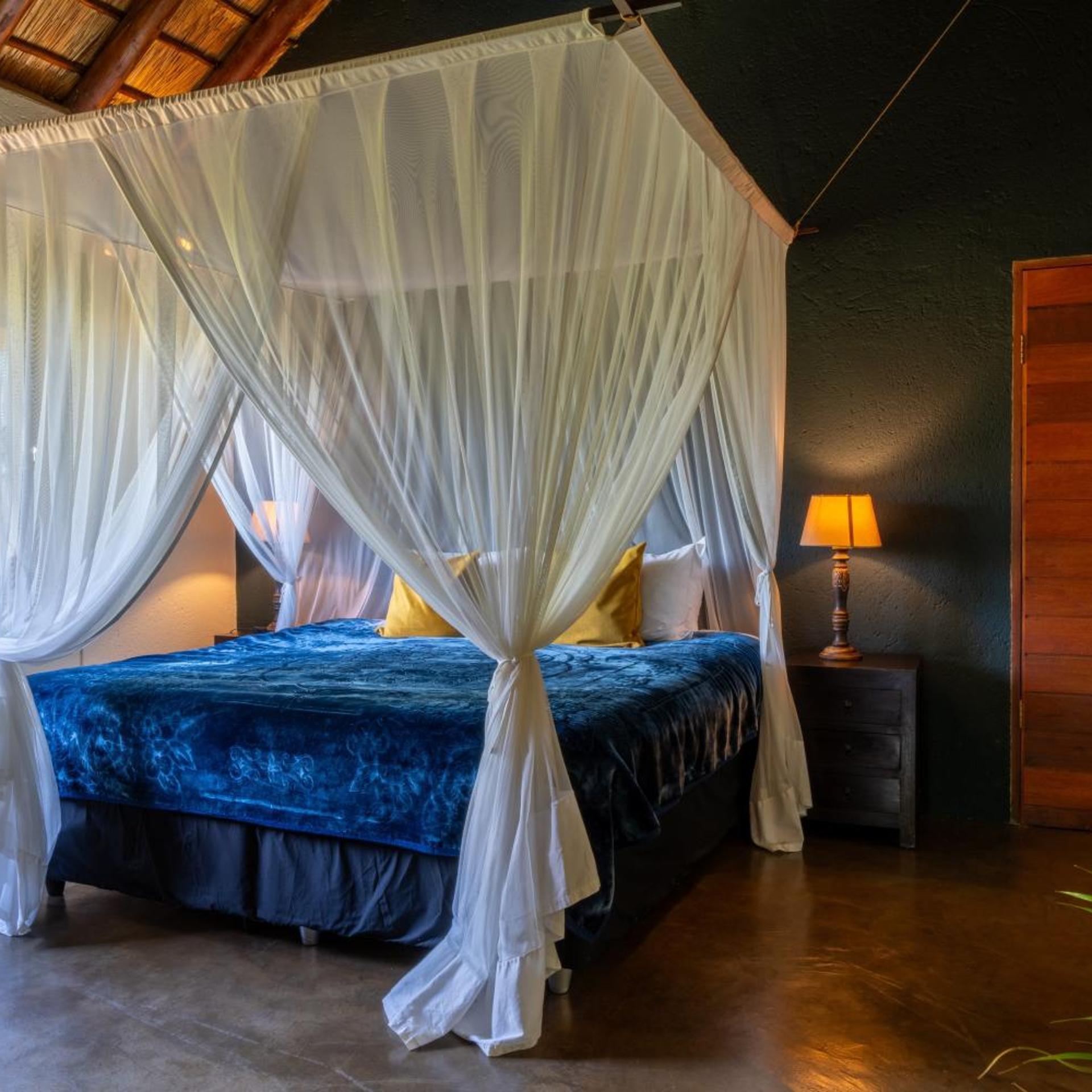 Elephant Game Lodge 37/56