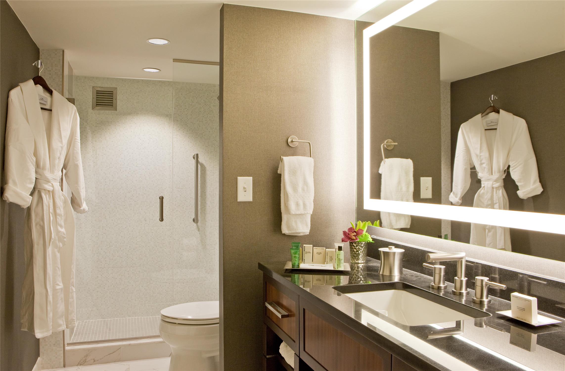 غرفة تنفيذية بسرير كينج بإطلالة على المتنزه، HILTON NASHVILLE-DOWNTOWN 3/3