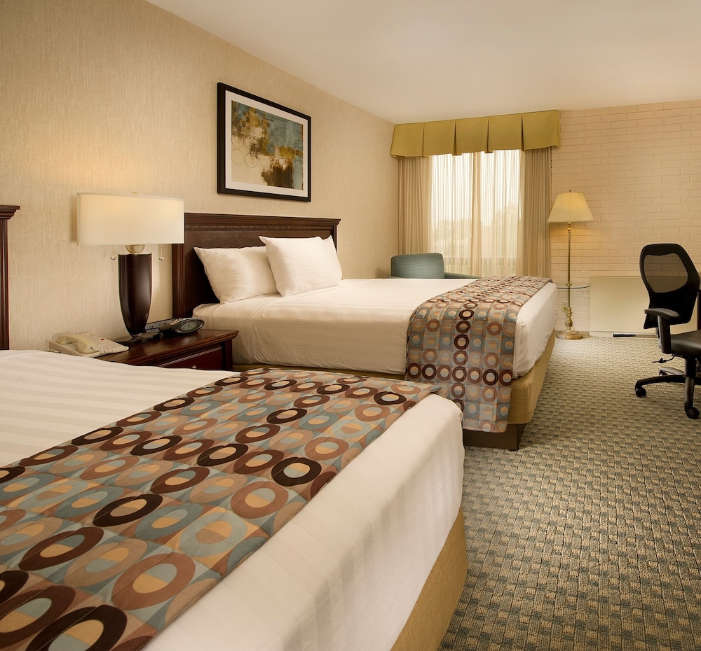 STANDARD, 2 QUEEN BEDS