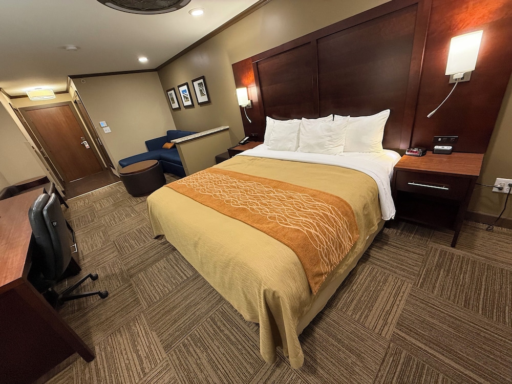 Mini, Premium, Suite, King Bed