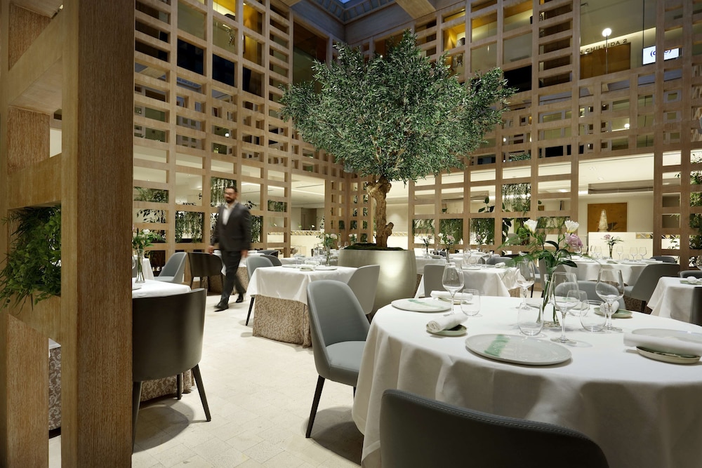 Hyatt Regency Hesperia Madrid 46/65