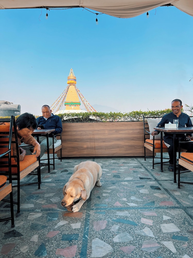 Bodhi Inn & Suite 46/50