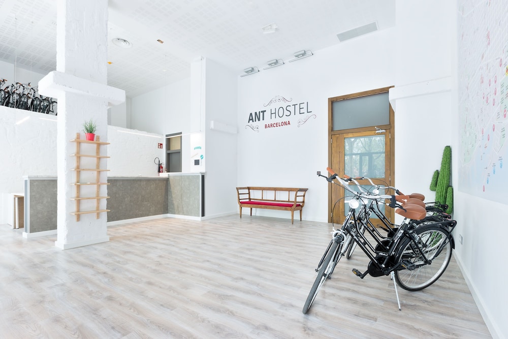 Ant Hostel Barcelona 53/66