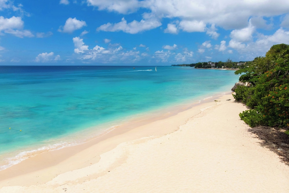 Crystal Cove by Elegant Hotels - All-Inclusive 47/50