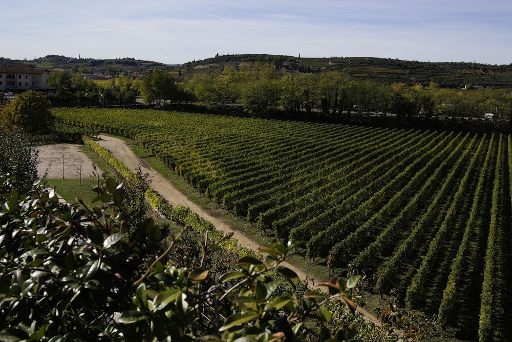 La Fonte Degli Dei Wine Relais - Adults Only 41/50