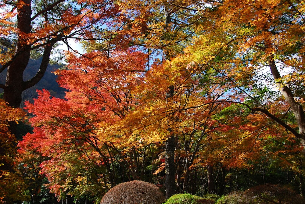 Hakone Kowakien Hotel 42/50