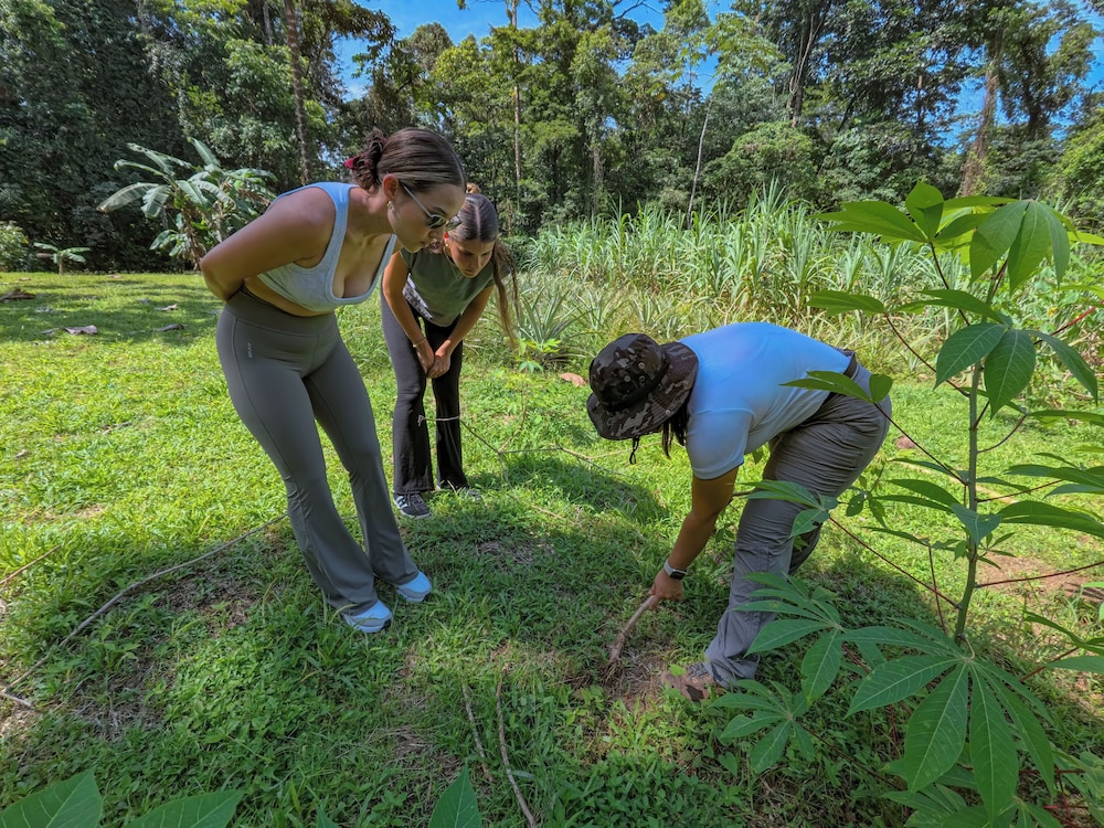 Chachagua Rainforest Hotel And Hacienda 27/50