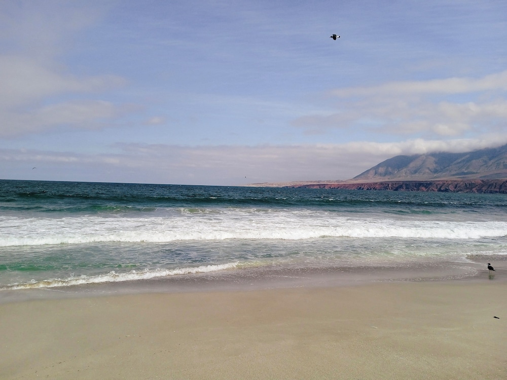 Ibis Antofagasta 44/48