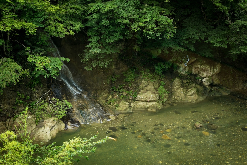 Sendai Akiu Onsen Sakan (ex 1000 Years Of Tradition - Akiu Onsen Sakan) 44/50