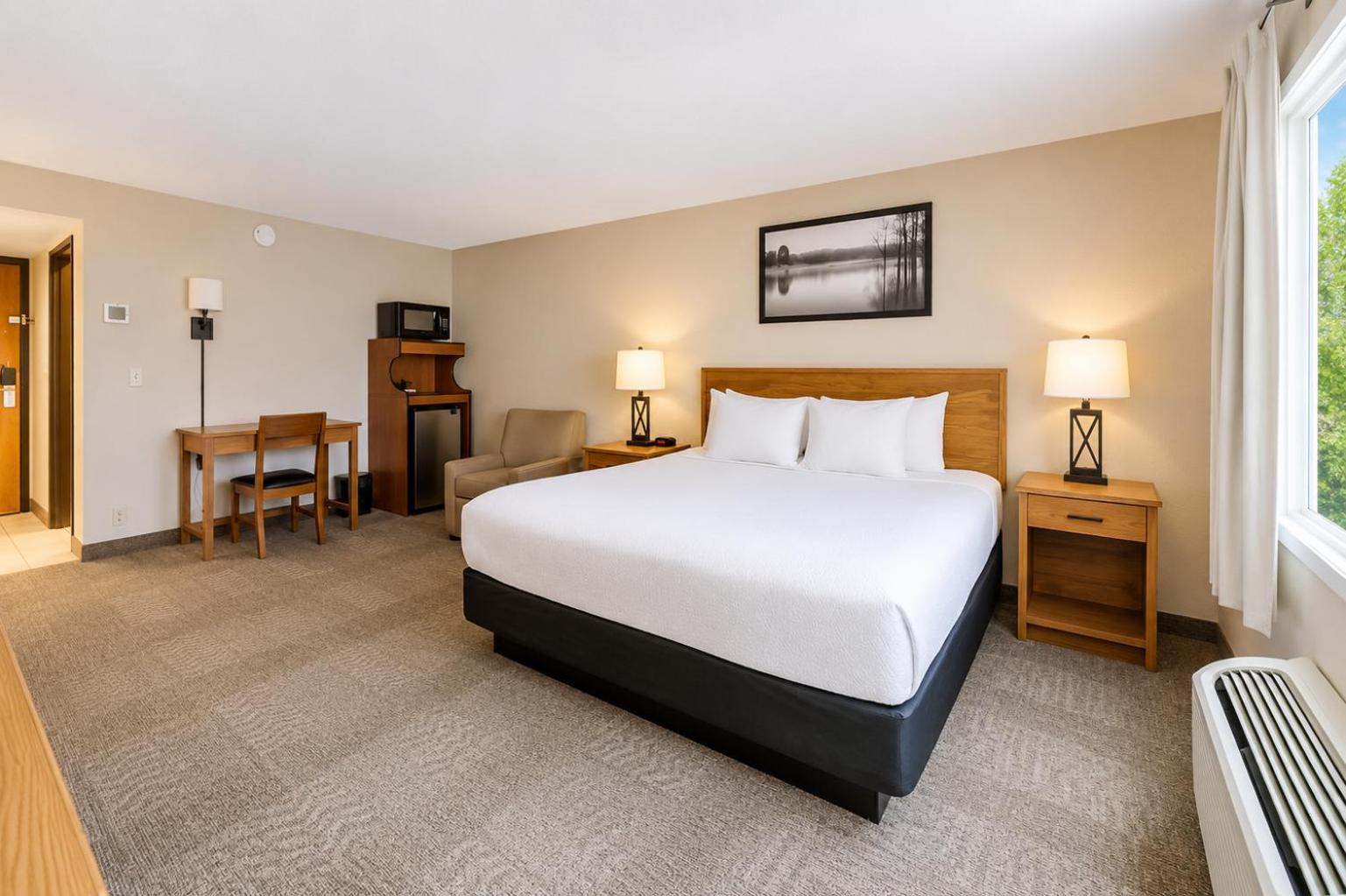 Room, King Bed