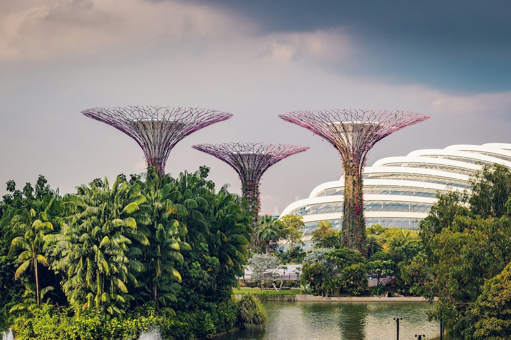 Pan Pacific Singapore 43/46