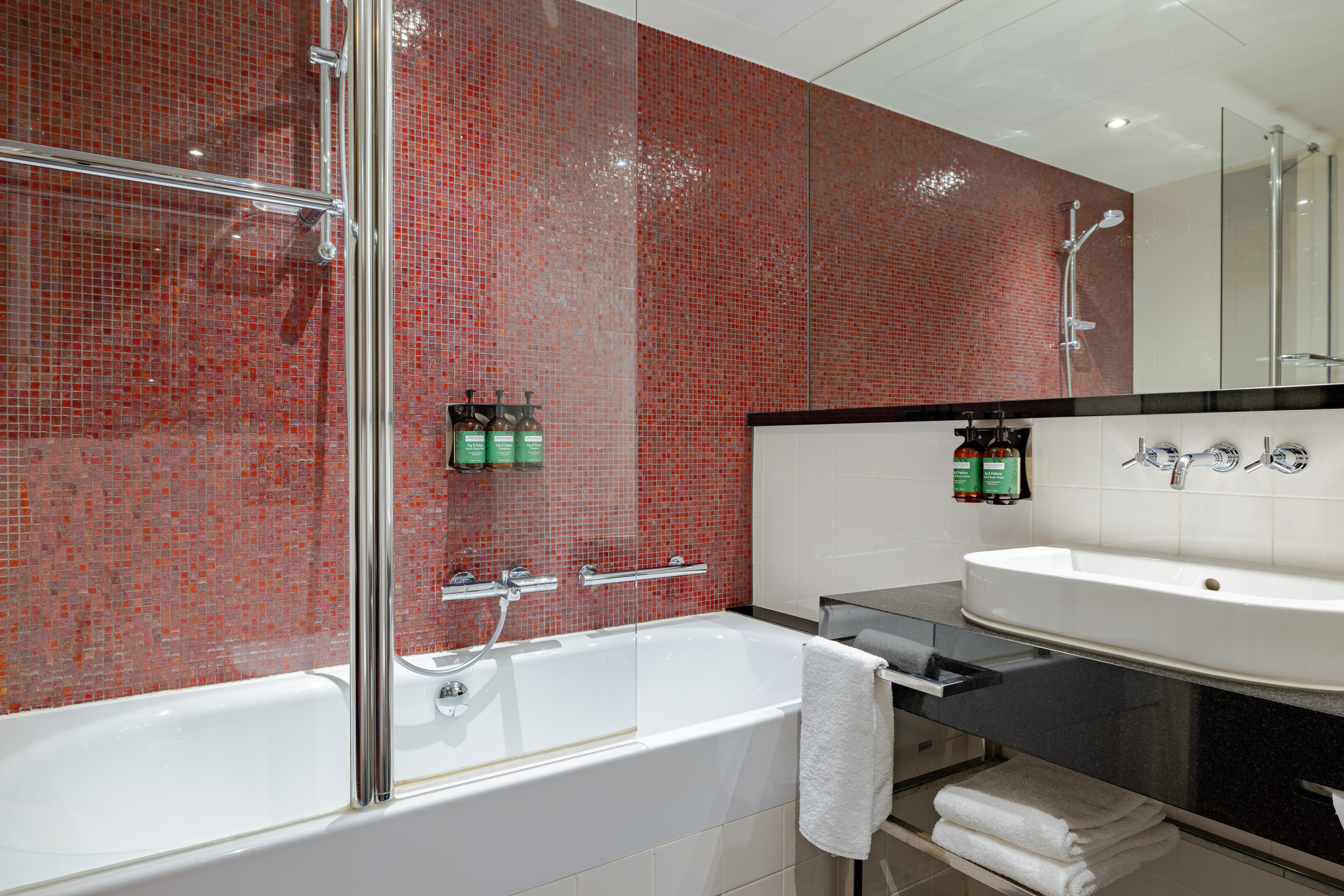 Crowne Plaza Amsterdam South Hotel 81/82