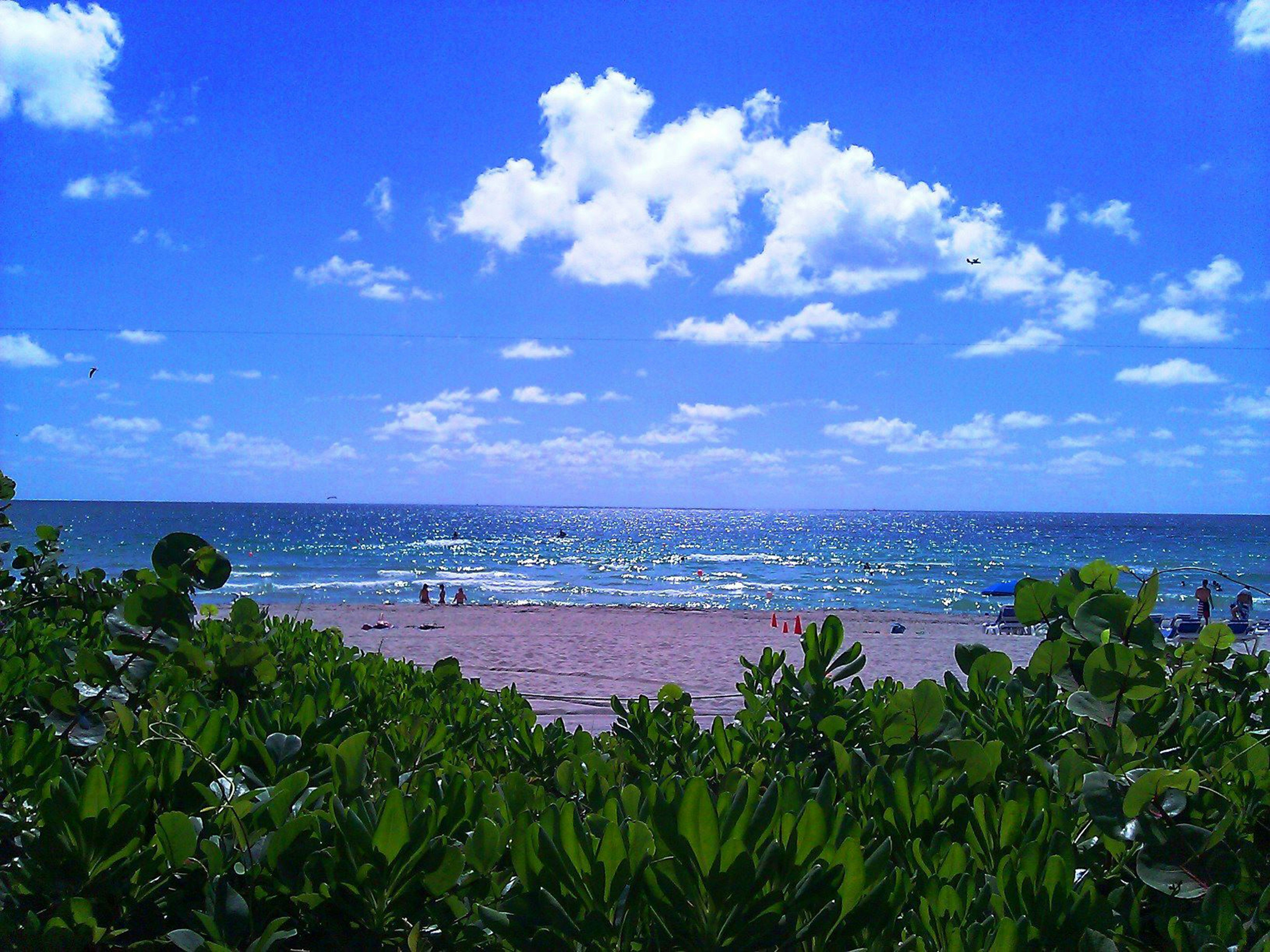 Holiday Inn Miami Beach Oceanfront Hotel 69/71