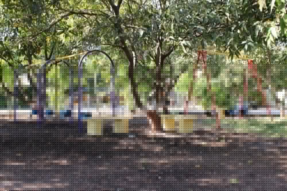 Gir Jungle Lodge 31/38