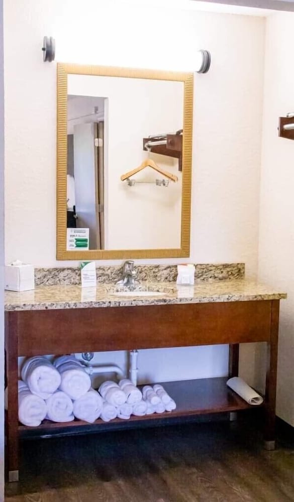 Econo Lodge Vidalia, GA 48/50