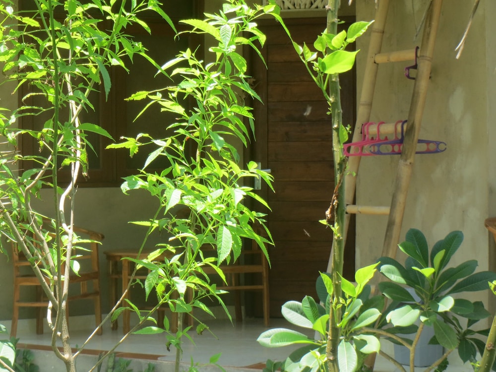 Amed Sari Beach Guesthouse 43/50