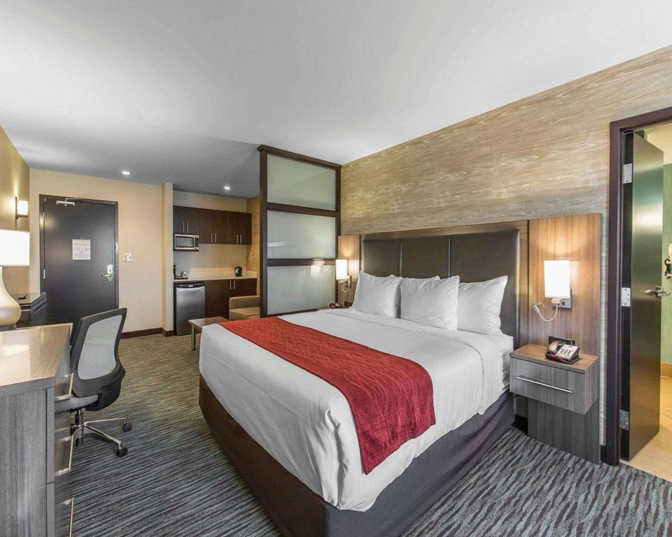 Upgrade, Suite, King Bed
