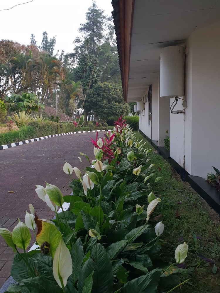 Hotel Cisarua Indah 33/36