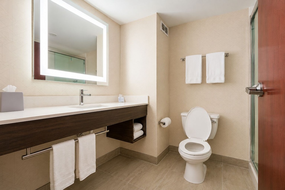 Holiday Inn Express Hotel Suites Niagara Falls 71/75