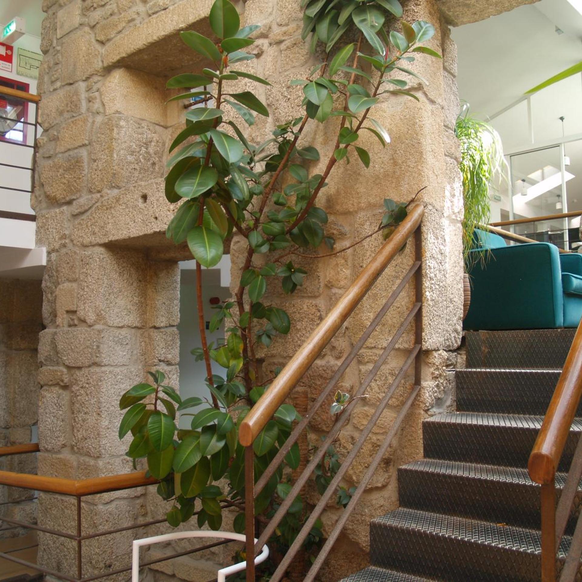 Santos Hotel 46/50