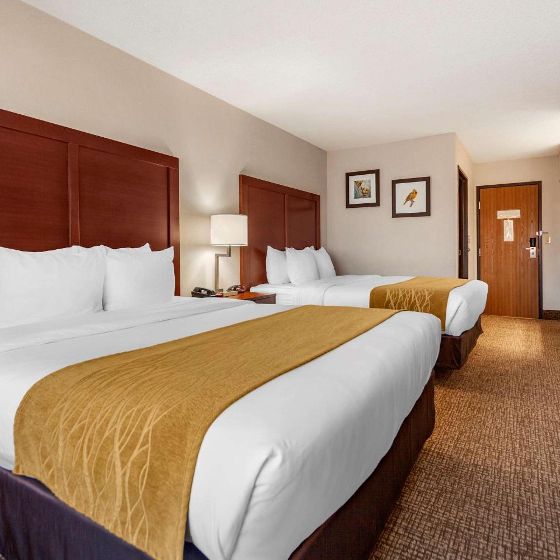 Deluxe, 2 Queen Beds