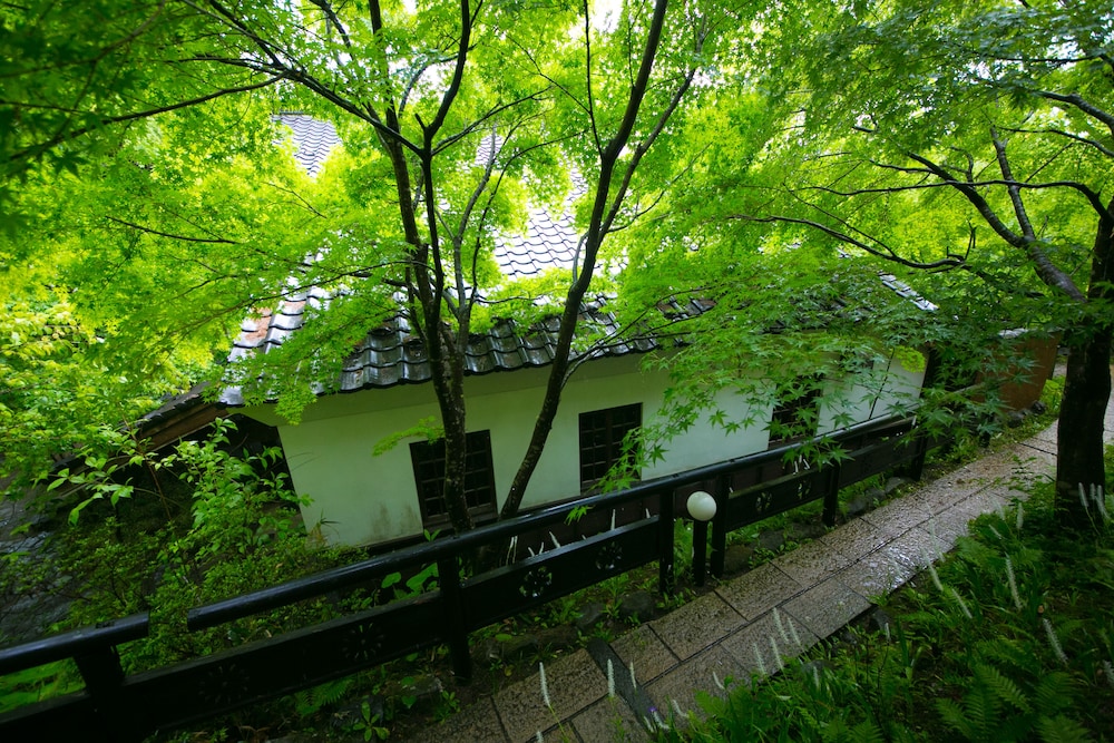 Nihon No Ashitaba 46/50