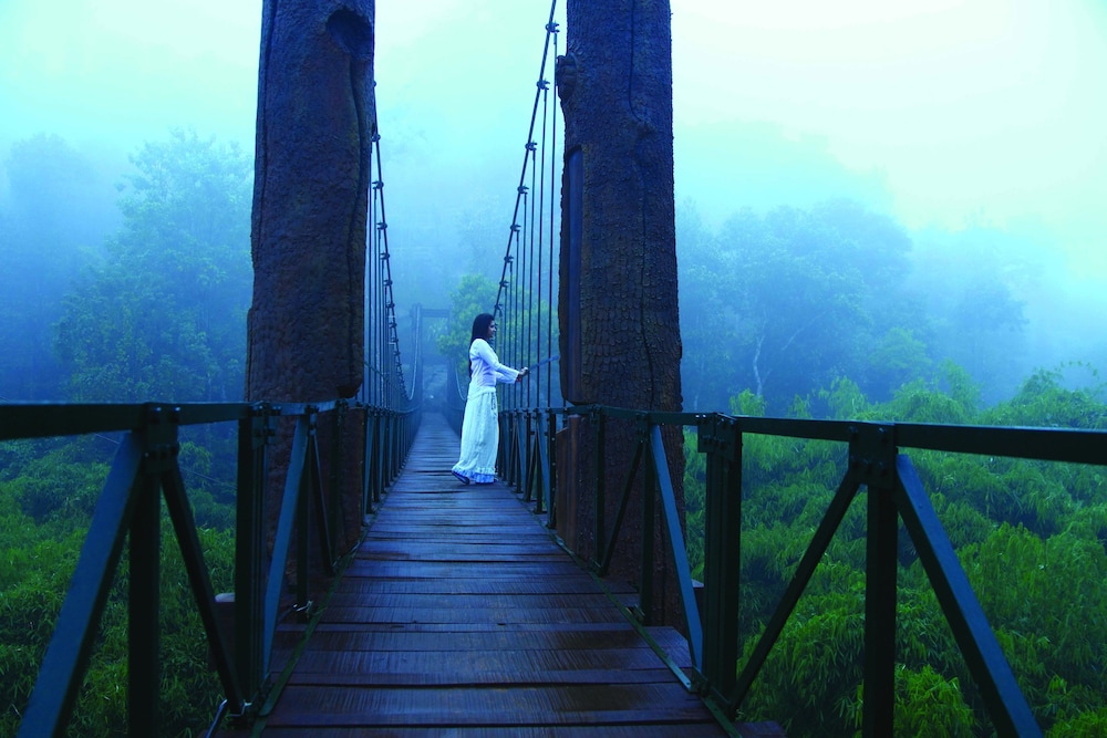 Vythiri Village 47/51