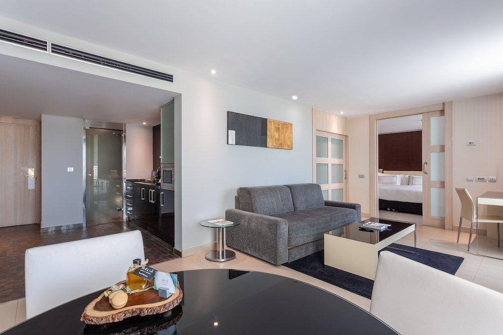 Melia Sevilla Hotel 31/48