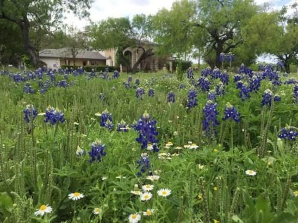 Live Oaks Bed and Breakfast 28/44