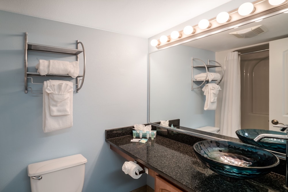 Palette Resort Myrtle Beach 33/42