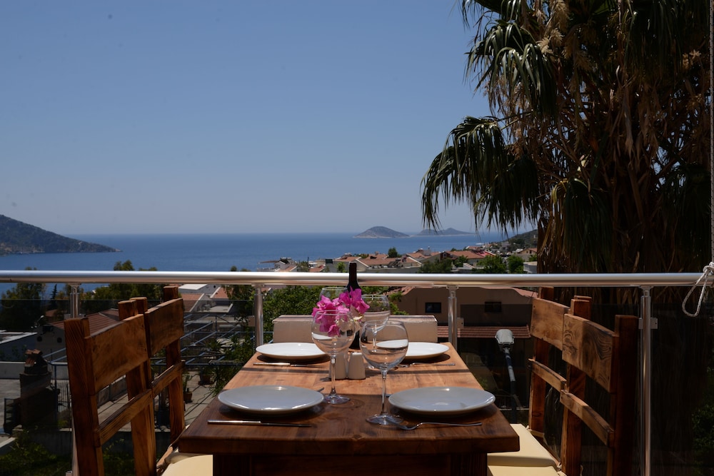 Neruda Pension 31/43
