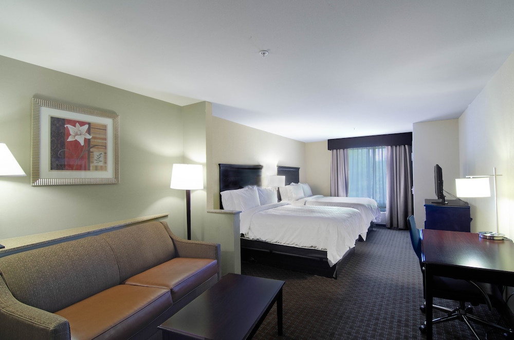 Comfort Suites Mobile-South Alabama University Area 18/43