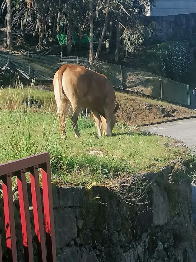 Casa do Rancho 40/50
