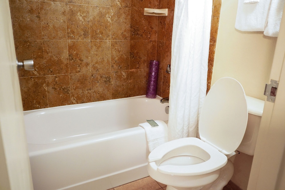 Rosen Inn At Pointe Orlando 49/50