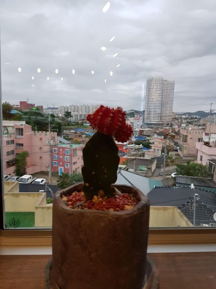 Mokpo White Windmill Guesthouse 20/43