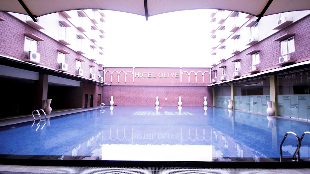 Hotel Olive 45/52