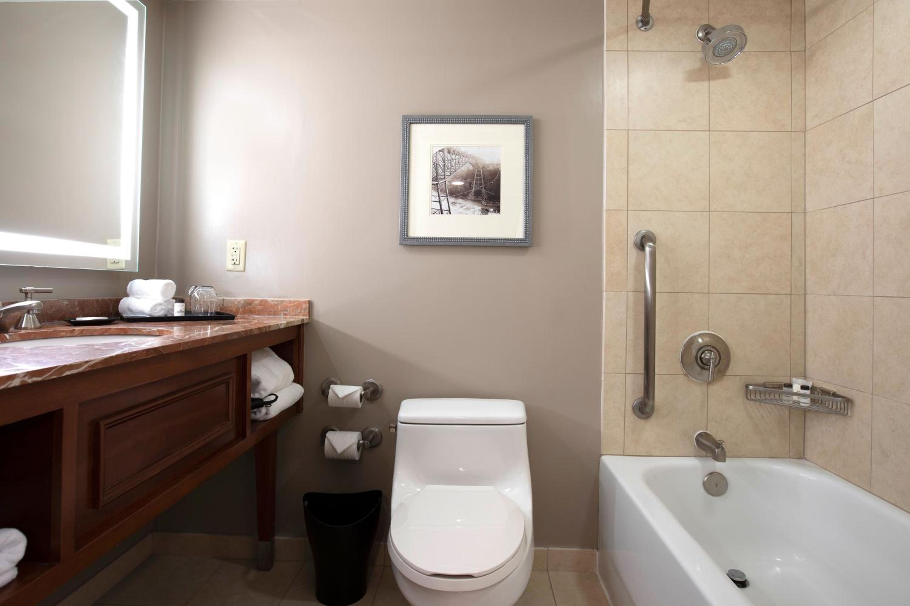 غرفة بسرير كينج، Sheraton Niagara Falls New York 5/16