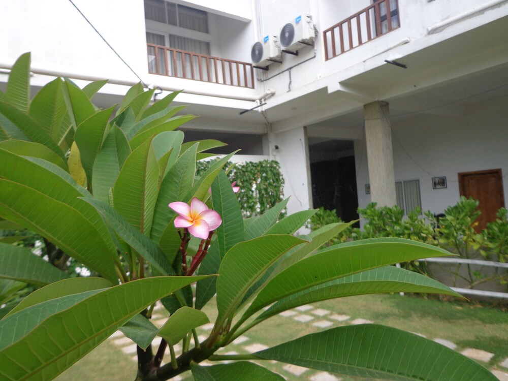 Hotel Star White Negombo 41/50