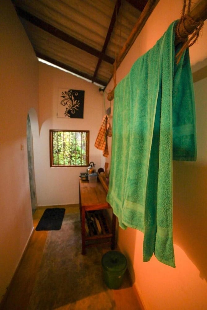 The Jungle House 11/50
