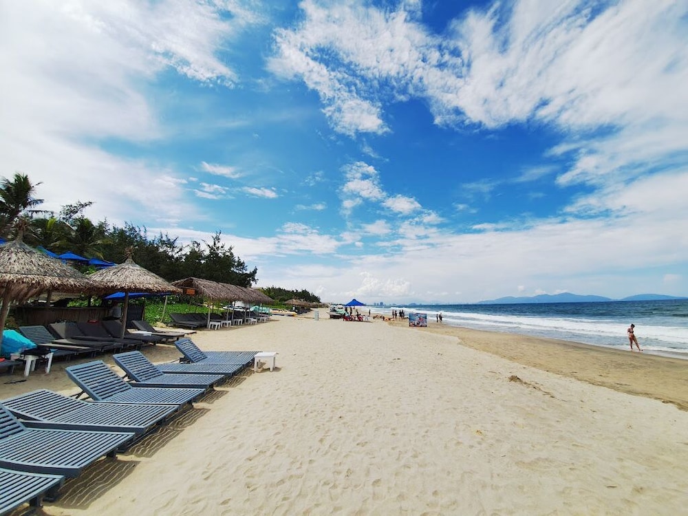 Tri Tran Homestay 35/41