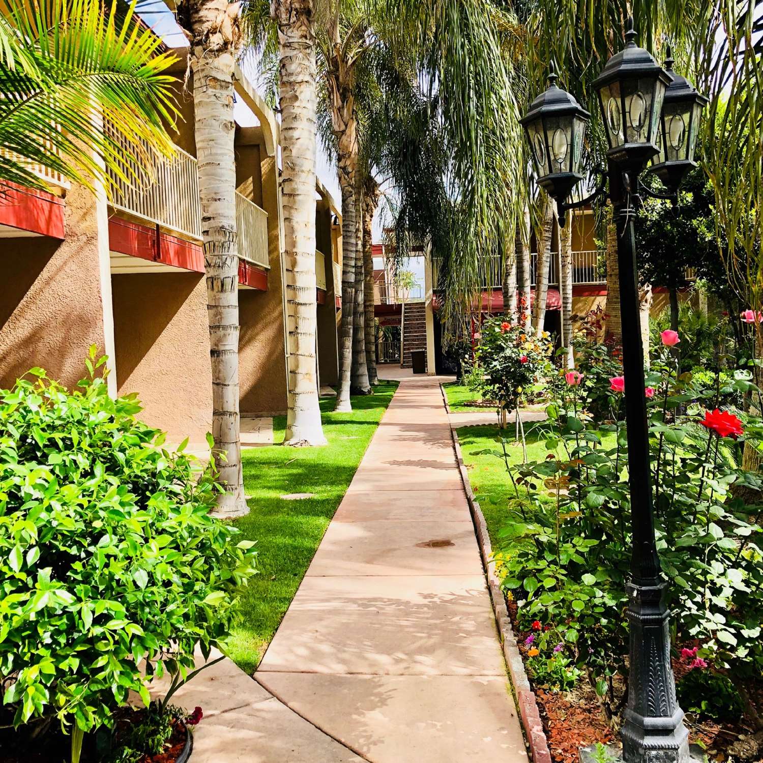 Clarion Hotel Bakersfield North 24/34
