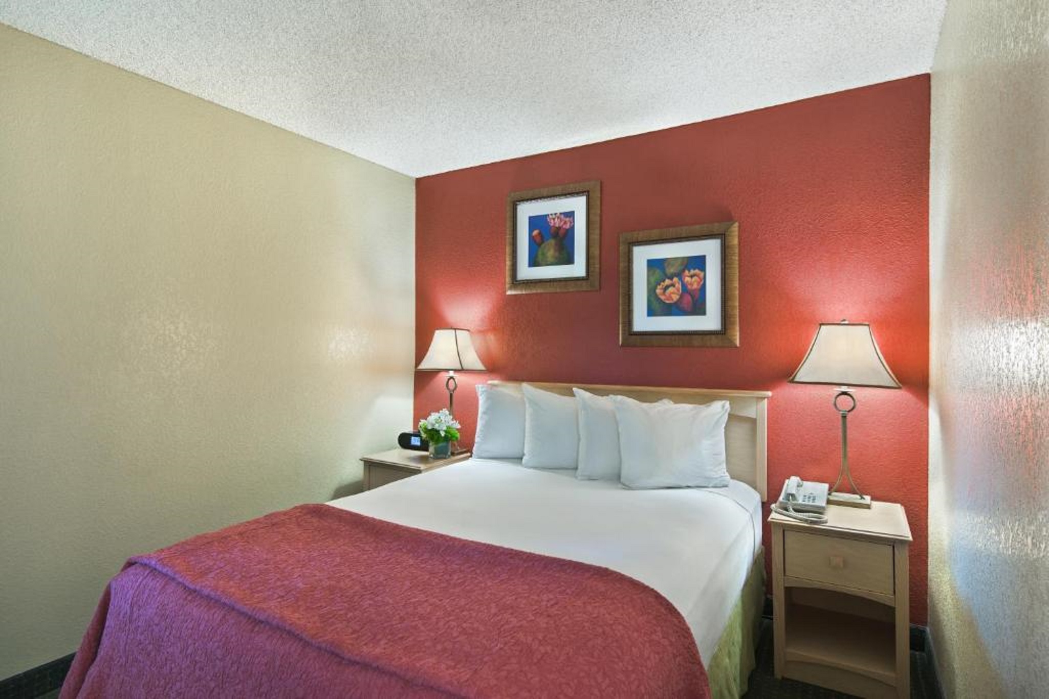 Room, King Bed