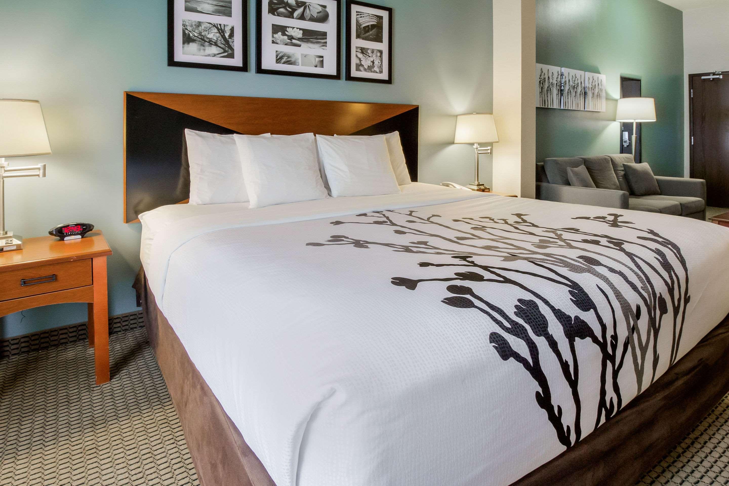 SUITE, KING BED, ACCESSIBLE