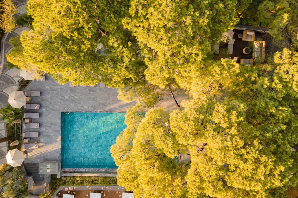 Unique Life Style Hotel 47/49