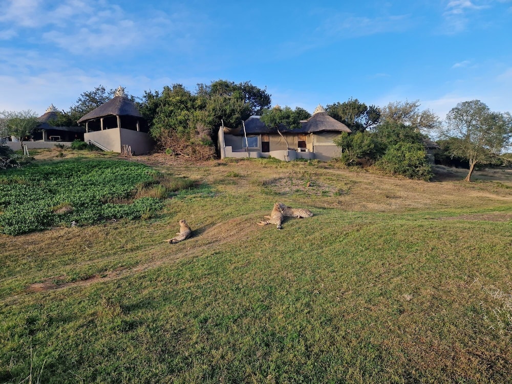 Amakhala Safari Lodge 30/50