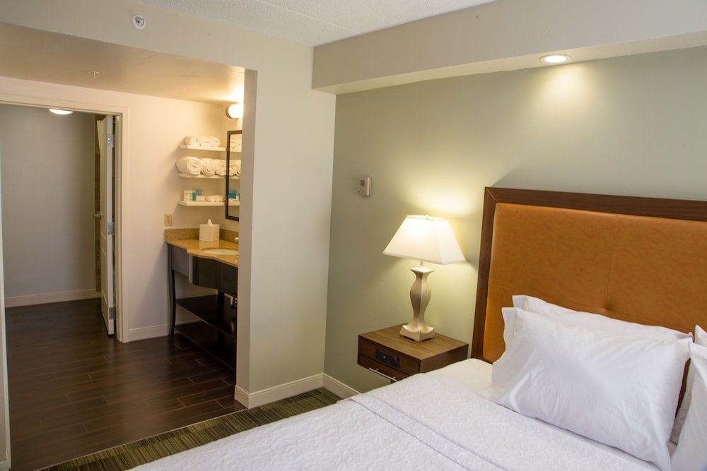 Hampton Inn Suites Albany Downtown 16/55