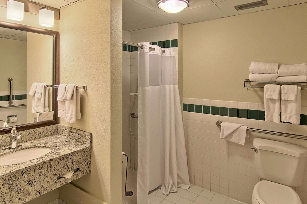Blossom Hotel & Suites Traverse City 61/64